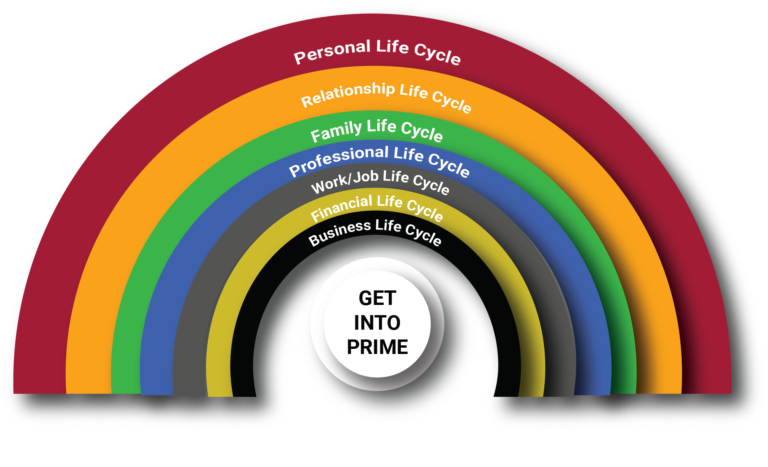 PCC | ABOUT 8 Life Cycle